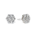 Violetta Stud Earrings
